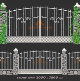 20